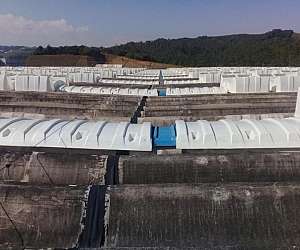 Domus para ventilação Domus para ventilação